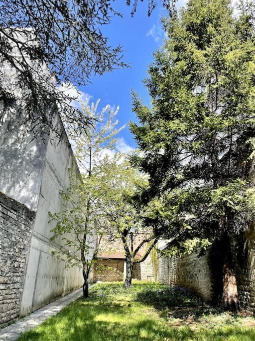Maison Flore Besançon Kültér fotó